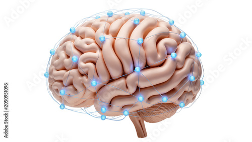 Human brain with glowing blue network connections