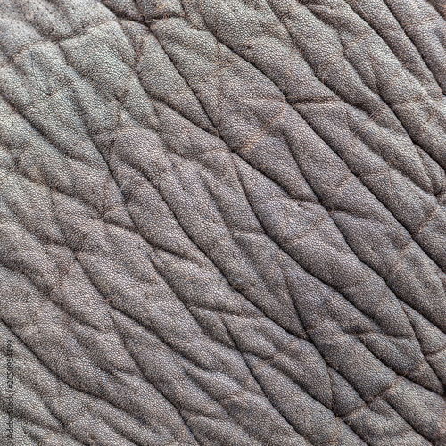 Tableau sur toile Close-up of elephant skin texture