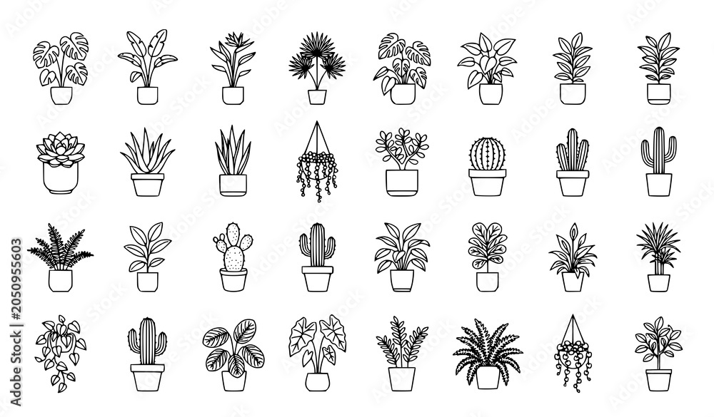 Obraz premium Indoor Houseplant Outline Icon Collection Vector Set