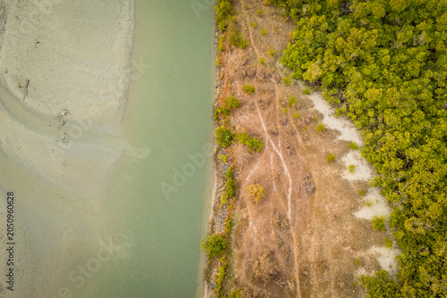 aerial view of mangroves in brakish water channel in river delta in Senegal in Africa, important part of the ecosystem, habitat and natural environment wetland