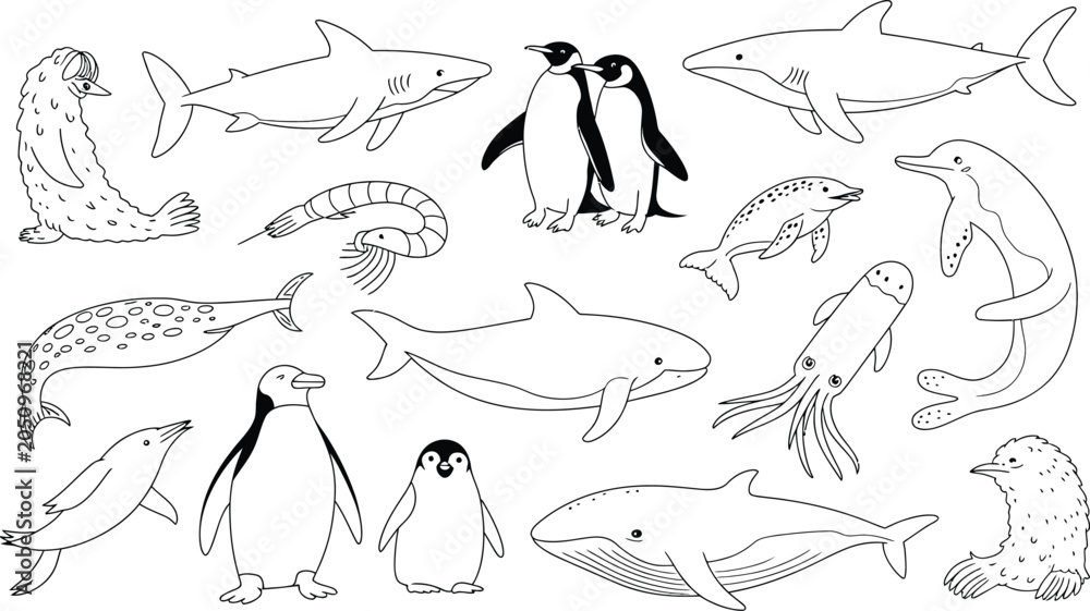 Fototapeta premium Black and white line drawing illustration set of various cute marine animals and sea creatures