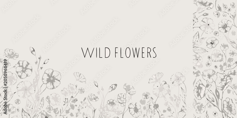 Obraz premium Wildflower botanical illustration with delicate gray tones and a neutral background