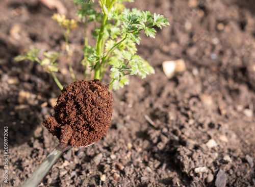 Kaffeesatz für Pflanzen – Natürlicher Dünger für Garten, Balkon und Zimmerpflanzen