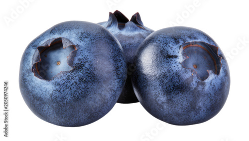 Vászonkép Three ripe blueberries with visible calyx