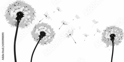 Tableau sur toile Dandelion Seed Heads Black And White Silhouette Illustration