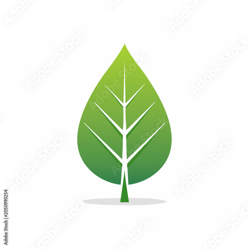 Green leaf icon with white veins and shadow