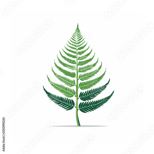 Green fern leaf illustration on white background