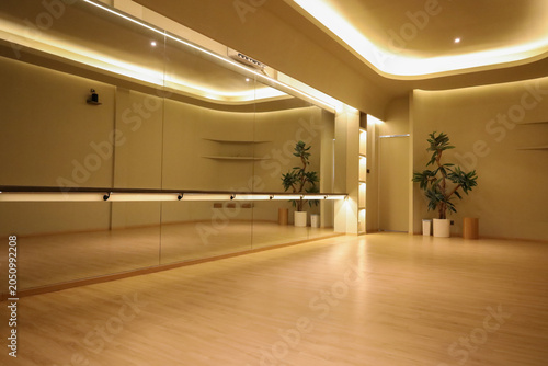 Photos Modern Wellness Space Showcasing A Reflective Mirrored Wall With An Attached Han