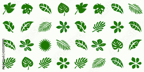 Quadro su tela Green Leaf Designs A Collection Of Tropical Foliage Vector Illustrations