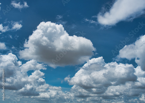 Εκτύπωση καμβά Cumulus clouds have a fluffy or cottony appearance, contrasting sharply with the bright blue sky