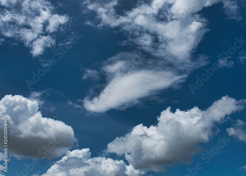 Obraz na płótnie Cumulus clouds have a fluffy or cottony appearance, contrasting sharply with the bright blue sky