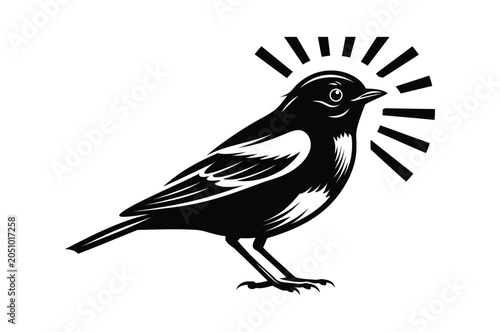 Bird icon illustration with sunburst design in black and white