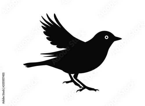 Bird silhouette illustration with wings spread and white eye detail