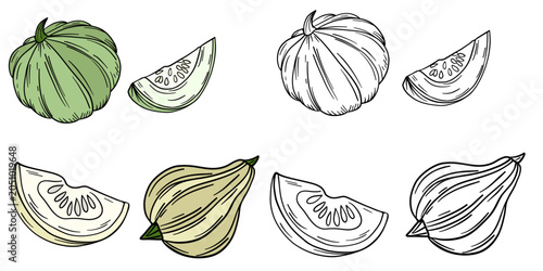 Φωτογραφία Hand-drawn illustration of pattypan squash in color and black white outline