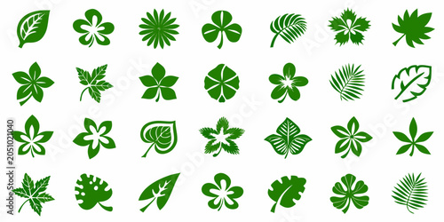 Картината върху платно Green Leaf Designs A Collection Of Vector Botanical Illustrations