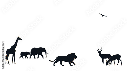 Photography Silhouette of five wild animals standing together in a line Vector