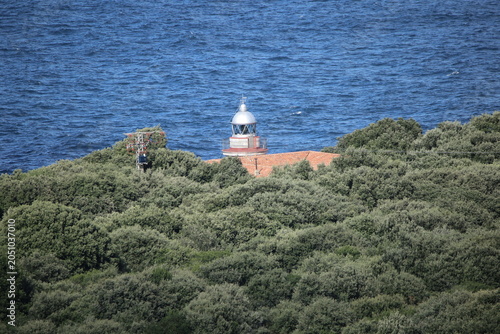 Faro