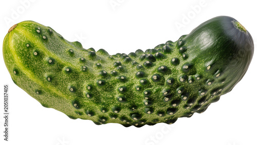 Schilderij op canvas Green bumpy cucumber with white dots and yellow stem end