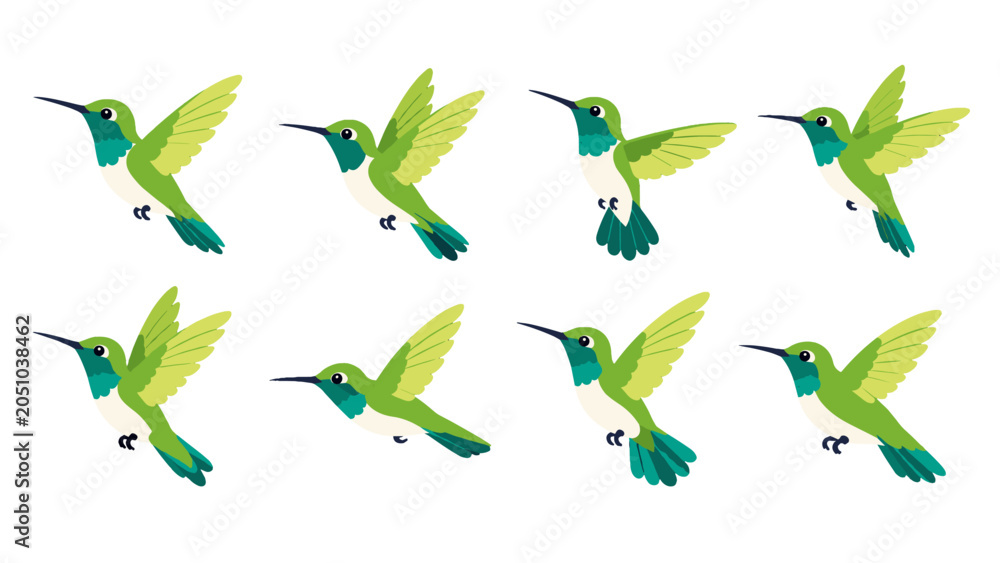 Obraz premium Set of green hummingbird illustrations in flying poses