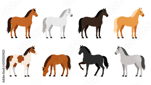 Canvastavla Set of eight horse illustrations in different coat colors