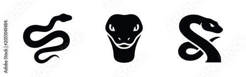 Fényképezés Snake icon set