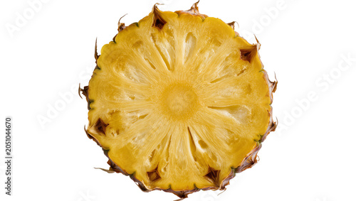 Photos Pineapple slice with spiky brown rind and yellow flesh