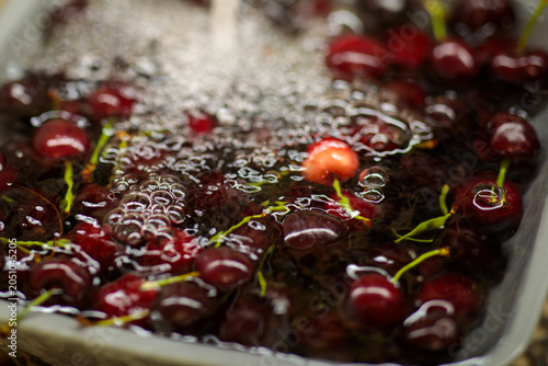 Close-up of dark sweet cherries submerged in water with dense bubbles in a sink, one red cherry visible