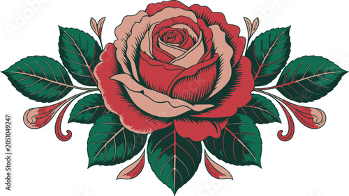 Detailed red rose with green leaf foliage