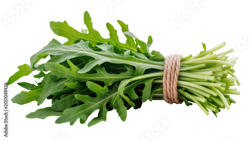 Schilderij op canvas Fresh arugula leaves tied with jute twine