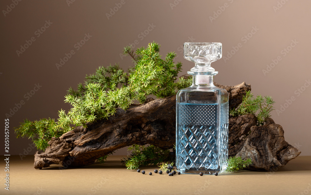 Fototapeta premium Blue gin on a background of old snags and juniper branches with berries.
