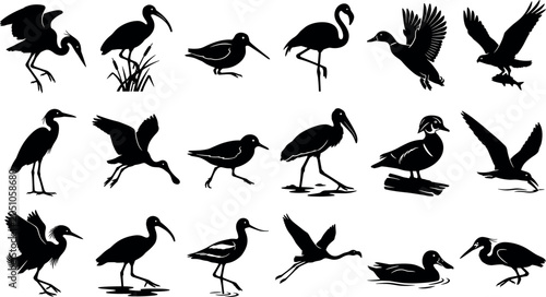 Valokuva Water Birds and Waterfowl Silhouette Icon Set Featuring Herons Flamingos Ducks I