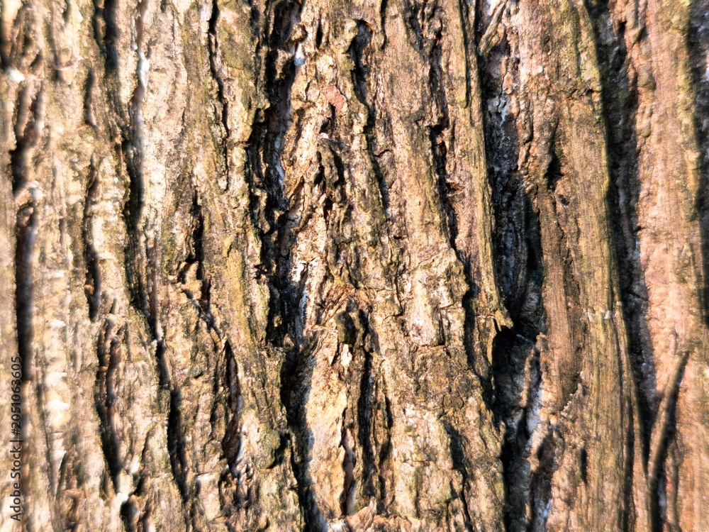 Naklejka premium Detailed tree bark texture featuring deep grooves, rugged patterns, natural tones.