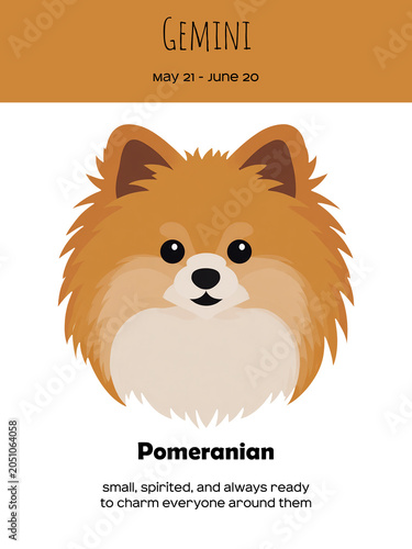 Zodiac sign Gemini and Pomeranian Dog breed. Dog breed most compatible with Gemini 