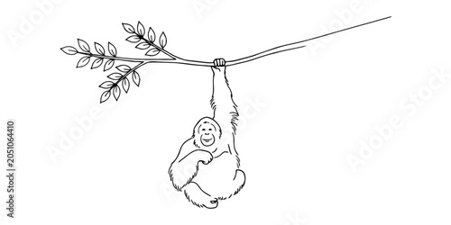 Photography Orangutan hanging from a tree branch with leaves, simple line drawing
