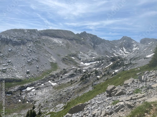 Randonnée dans le vercors avec fleur, montagne et lac de la grande moucherolle