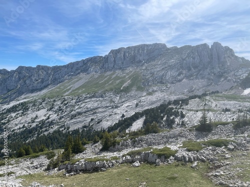 Randonnée dans le vercors avec fleur, montagne et lac de la grande moucherolle