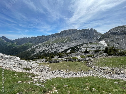 Randonnée dans le vercors avec fleur, montagne et lac de la grande moucherolle