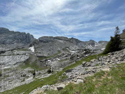 Randonnée dans le vercors avec fleur, montagne et lac de la grande moucherolle