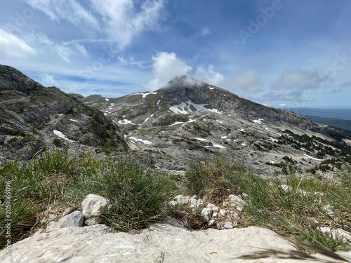 Randonnée dans le vercors avec fleur, montagne et lac de la grande moucherolle