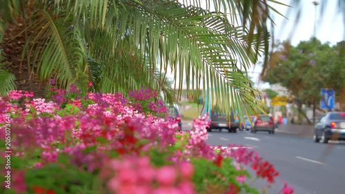 Bustling Traffic in a Tropical Island Paradise in 4k slow motion 60fps