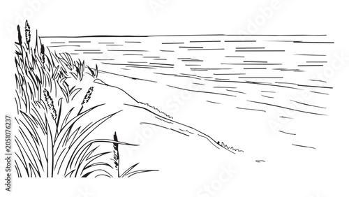 Foto Coastal dune sketch with wild sea grass and ocean horizon line hand drawn vector artwork