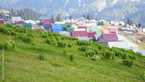 Valokuva Green alpine meadow with colorful village cottages in the mountains of Georgia