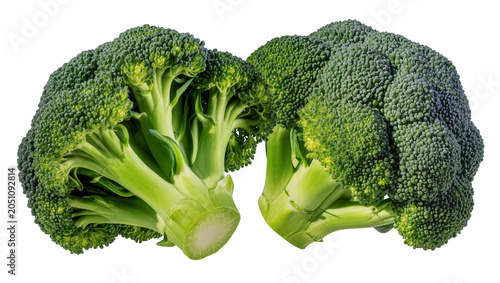 Tableau sur toile Two fresh green broccoli florets with thick stems