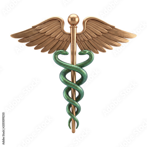 Картината върху платно Caduceus with entwined snakes and wings isolated on transparent background
