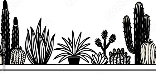 Fotografía A vibrant outdoor scene featuring a variety of cacti and succulent plants against a textured, light-beige stucco wall