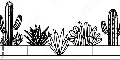 Fotografía A vibrant outdoor scene featuring a variety of cacti and succulent plants against a textured, light-beige stucco wall