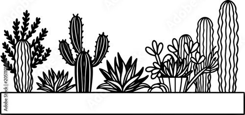 Photos A vibrant outdoor scene featuring a variety of cacti and succulent plants against a textured, light-beige stucco wall
