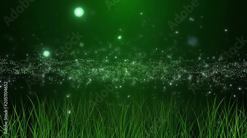 sparkling firefly lights in grassy field at night timelapse
