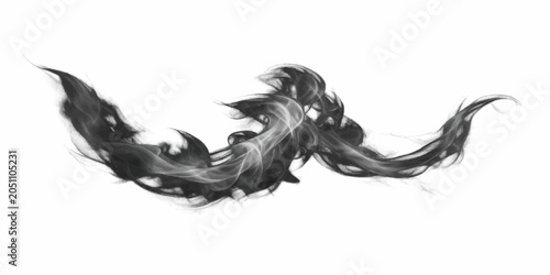 Schilderij op canvas Abstract Black Smoke Swirl: A dynamic, ethereal swirl of black smoke, evoking a sense of mystery and fluidity, captured against a clean, white backdrop