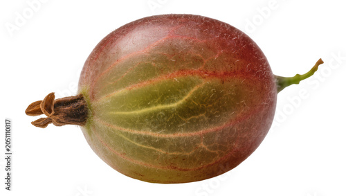 Obraz na plátně Ripe red and green gooseberry with stem and calyx